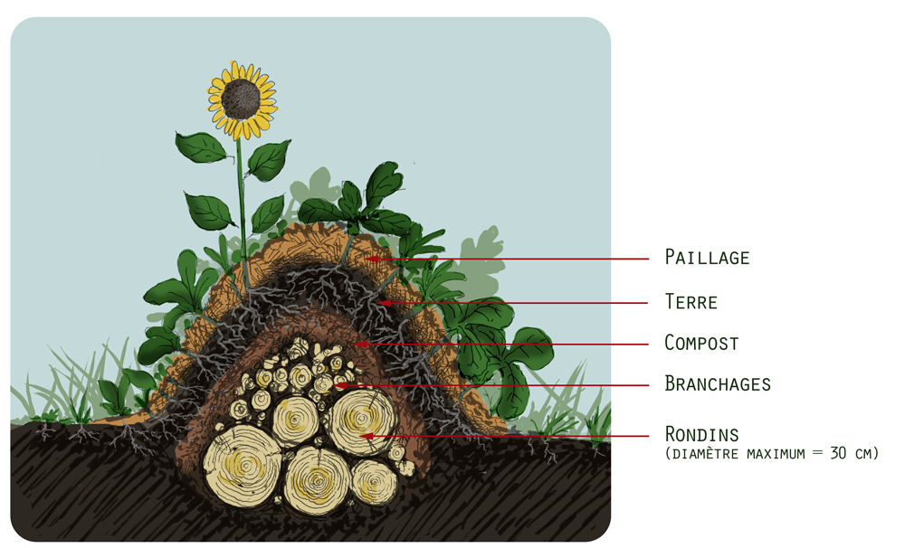 Image détaillant les différentes strates qui composent une butte en lasagne 