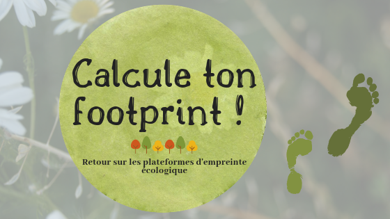 Calcule ton footprint- les plateformes d'empreinte écologique