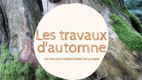 Les travaux d'automne pour la création de la micro-ferme en permaculture ... 