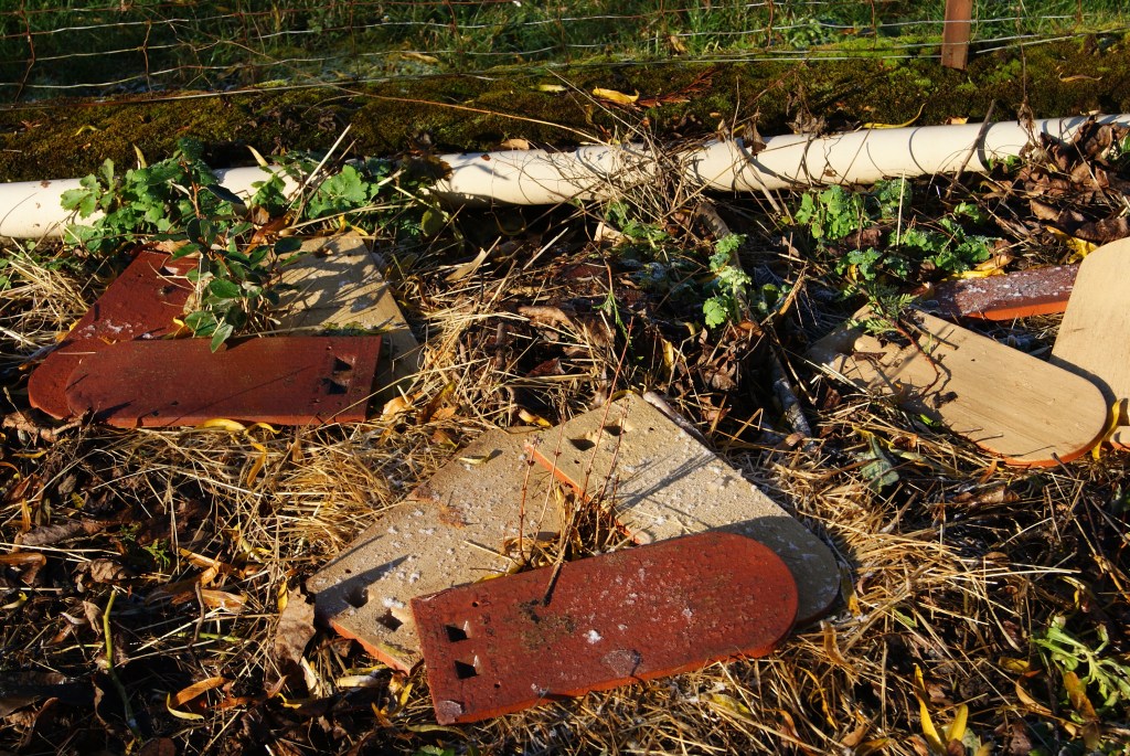 Plantations en quinconce pour la haie 